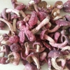 红菇    Red Mushroom