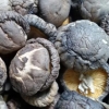 干香菇整菇 /Dried shiitake mushroom/乾燥椎茸ホール