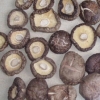 干香菇整菇 /Dried shiitake mushroom/乾燥椎茸ホール