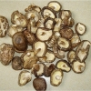 干香菇整菇 /Dried shiitake mushroom/乾燥椎茸ホール