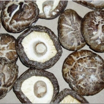 干香菇整菇 /Dried shiita