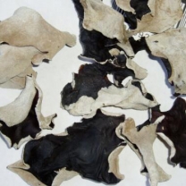 干白背木耳整朵/Dried bla