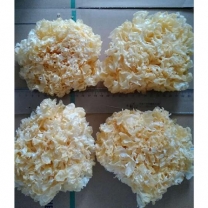 干白木耳 /Dried black fu